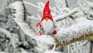 REGALA EN NAVIDAD Programa On-Line Gestión de Emociones y haz de ellas tus aliadas